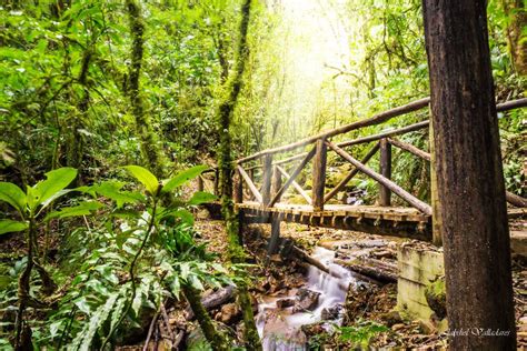 Los 5 Parques Nacionales Más Atractivos De Honduras