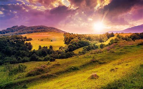 Hills Trees Meadow Flowers Sunrise Wallpaper Nature And Landscape
