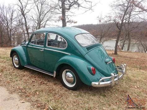 1965 Vw Beetle Bug Classic Volkswagen