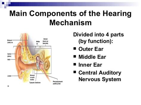 56514243 Physiology Of Hearing Balance