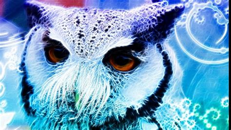An Evening Of Swirl Version Owls Fractal Fantasy Animals Hd