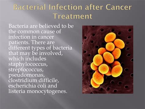 Ppt Infections In Cancer Patients Powerpoint Presentation Free