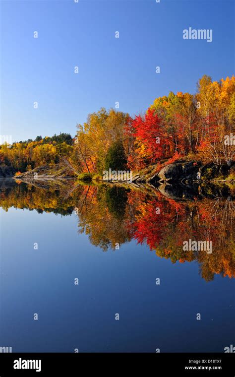 Autumn Maples And Birches Reflected In Simon Lake Greater Sudbury
