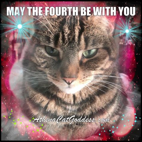 Athena Cat Goddess Wise Kitty May The Fourth Be With You Caturdayart