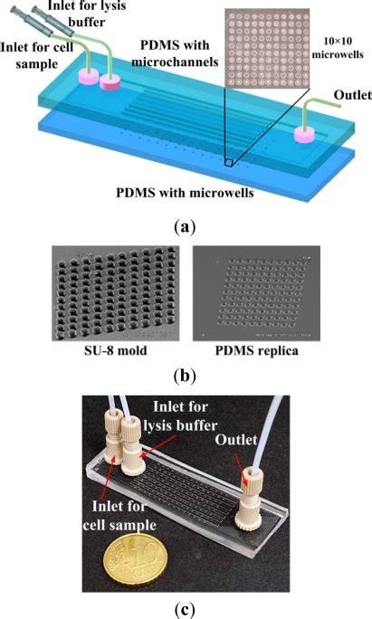 A Schematic Diagram Of The Proposed Microfluidic Chip For Download Scientific Diagram