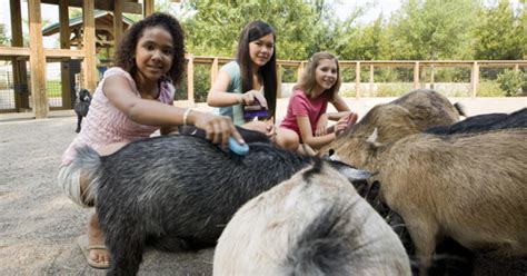 Best Petting Zoos In The Atlanta Area Cw Atlanta