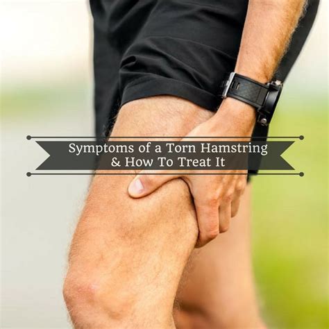 Symptoms Of A Torn Hamstring How To Treat It Torn Hamstring Hamstring Injury Treatment