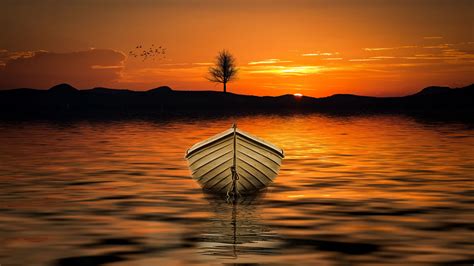 Download Wallpaper 2560x1440 Boat Sunset Skyline Lake Tree Widescreen 169 Hd Background