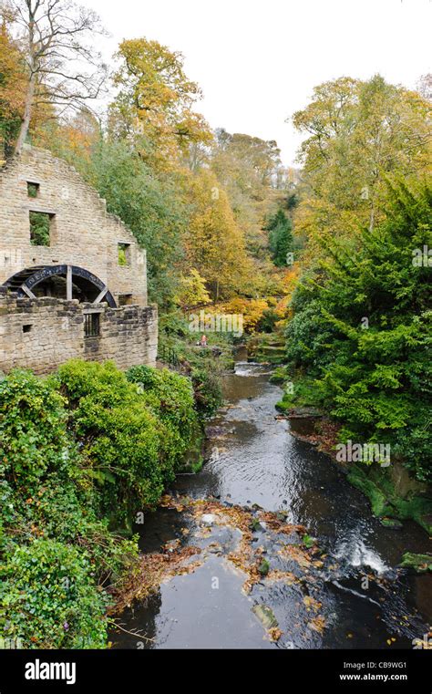 Jesmond Dene Newcastle Upon Tyne Stock Photo Alamy