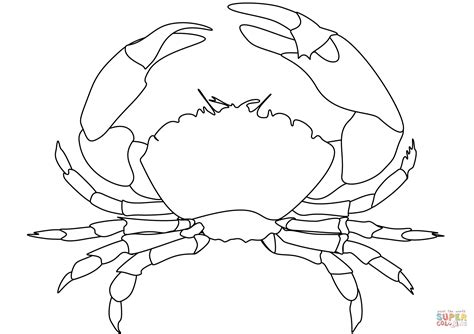 Blue Crab Drawing Sketch Coloring Page