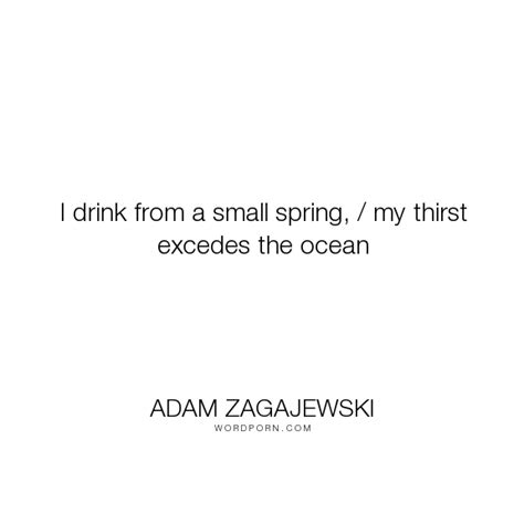 Adam Zagajewski I Drink From A Small Spring My Thirst Excedes The Ocean Poetry Minority