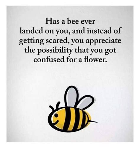 Funny Bee Quotes Shortquotescc