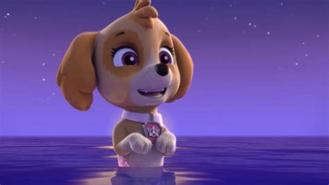 Watch Paw Patrol Pups Save A Mer Pup S E Tv Shows Directv