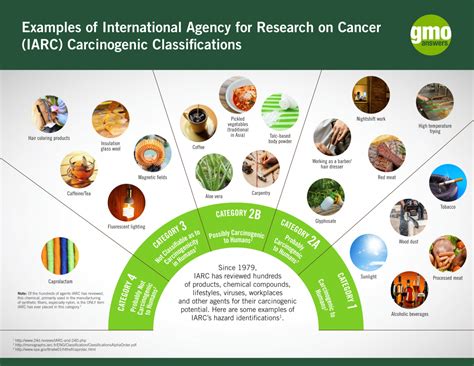 Iarc Classification Carcinogen Examples Infographic Gmo Answers