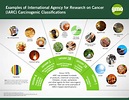 IARC Classification: Carcinogen Examples [Infographic] | GMO Answers