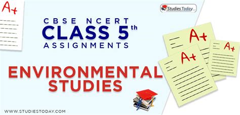 Assignments For Class 5 Environmental Studies Pdf Download