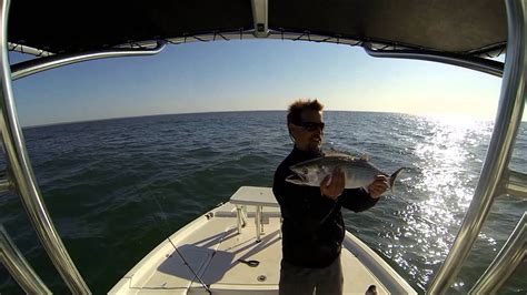 Atlantic Bonito Fishing Off The Crystal Coast Of North Caroina Youtube