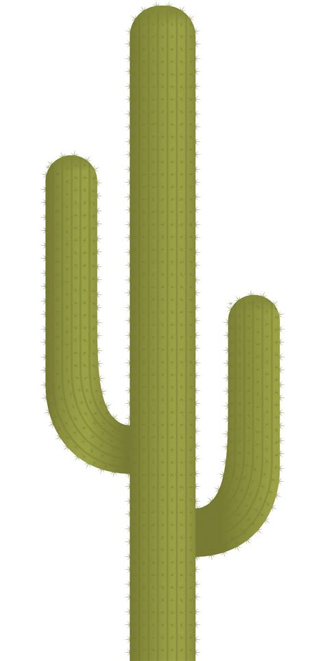 Cactus Plant Vector Png Image Purepng Free Transparent Cc0 Png