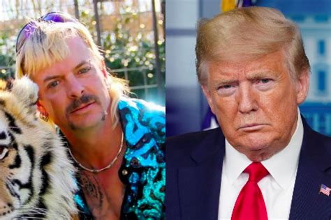joe exotic s lawyers so confident of donald trump pardon they ve ‘booked a limo to pick him up