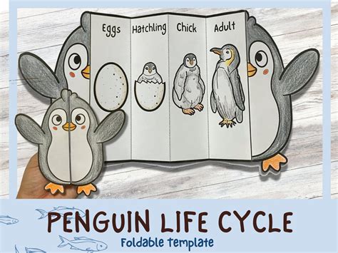 Foldable Penguin Life Cycle Learning Activity For Kids A4 Etsy Singapore