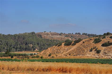 Image Result For Valley Of Elah Location Places To Go Natural