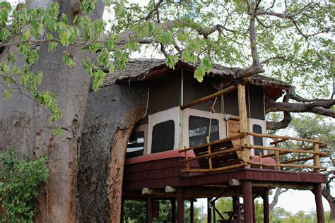 Elewana Tarangire Treetops Safari Lodge Botswana Buchen