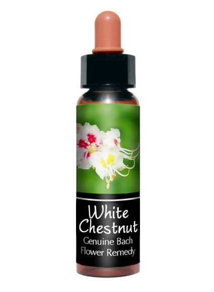 White Chestnut Bach Flower Essence Stock