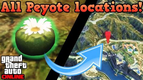 GTA 5 Peyote Locations: Where Are The Peyote Plant Locations In GTA 5