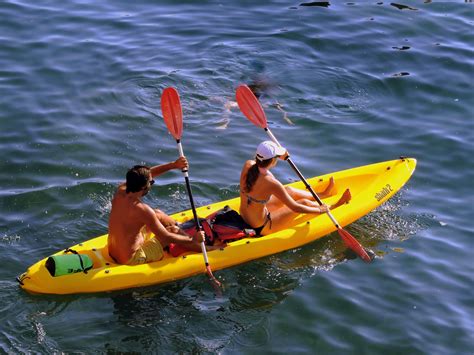 Canlı cansız bütün varlıkları ve kavramları ifade eder. Free Images : water, boat, row, paddle, vehicle, couple ...