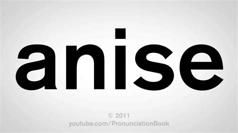 Substitute 's definition：a person or thing that takes or can take the place of another. How To Pronounce Anise - YouTube