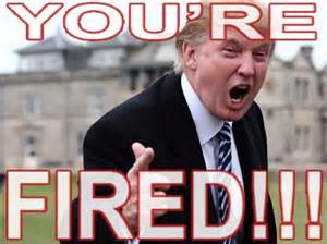 Image result for trump says your fired