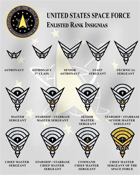 Space Force Military Ranks Military Insignia Army Ranks