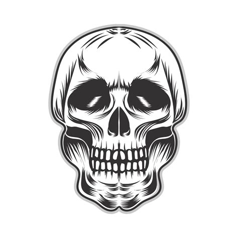 Skull Vector Art Illustration Design 38086569 Vector Art At Vecteezy