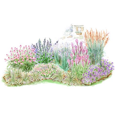 The tan eyebrows float above powdery green foliage in this compact variety. Prairie Garden