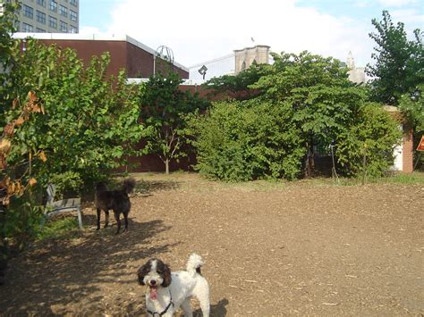 Brooklyn Bridge Park Dog Run Dumbonyc Flickr