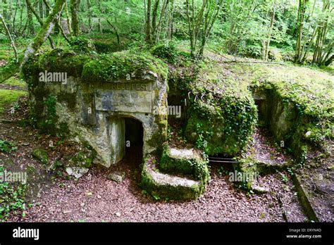German Wwi Concrete Bunker With Original Inscription Ailly Forest