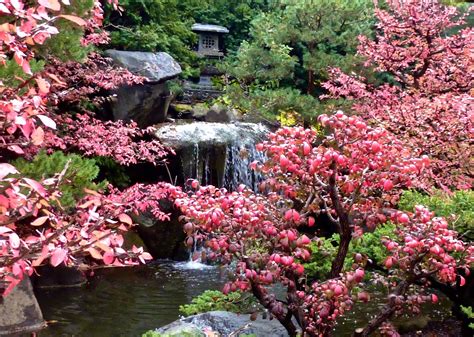 Waterfall And Burning Bush Anderson Japanese Gardens Rockford Il