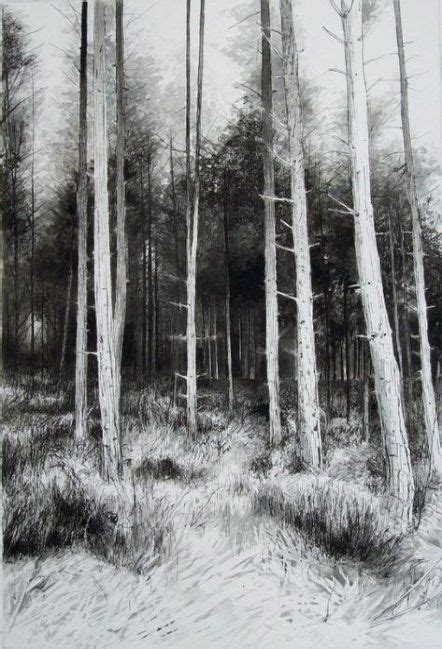 Drawing Ink Tree Forests 27 Ideas For 2019 Forest Drawing Forest