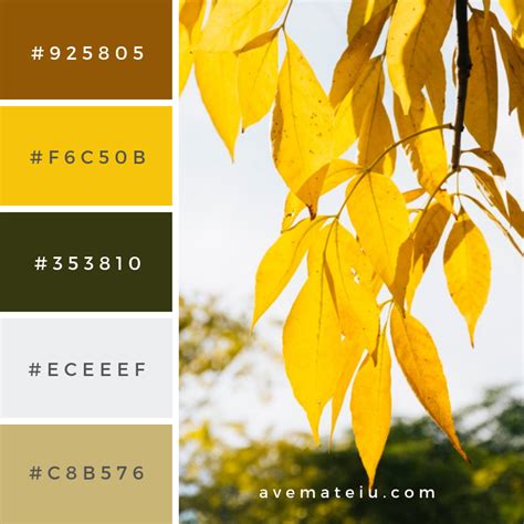 Golden Autumn Leaves Color Palette 311 Ave Mateiu