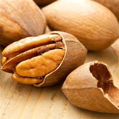 18 Different Types Of Pecans 2022