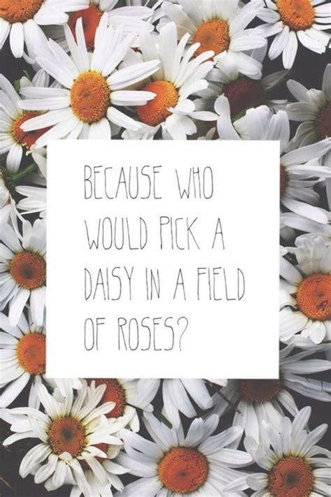 Because Who Would Pick A Daisy In A Field Of Roses Daisy Quotes