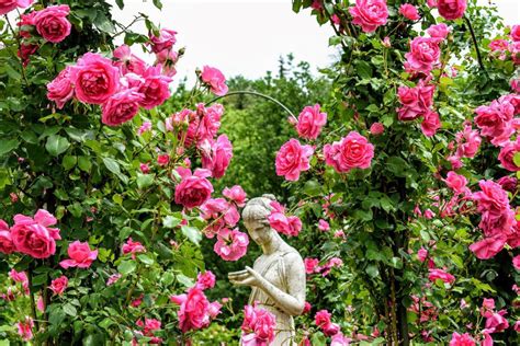 Ideas Para Crear Un Jardín Con Rosales Decoración Con Fotos