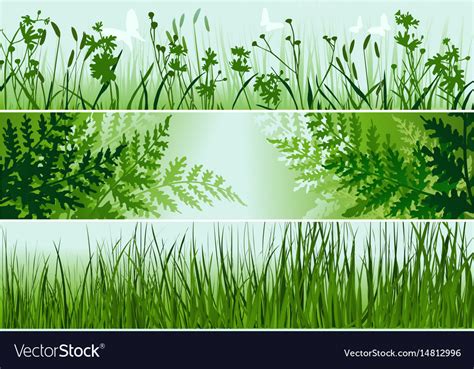 Three Nature Banners Royalty Free Vector Image