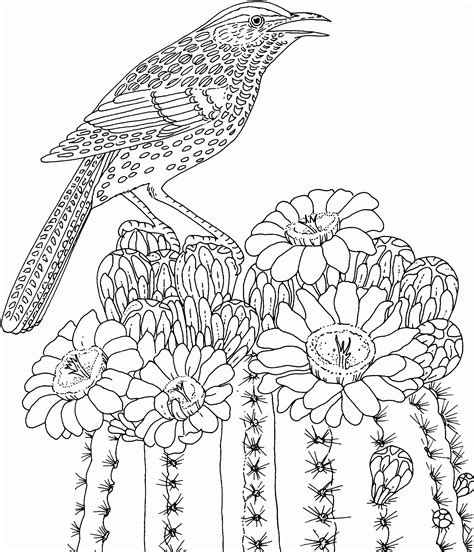 Hard Coloring Pages Of Animals Coloring Home