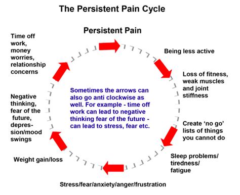 The Cycle Of Pain Sheffield Aches And Pains