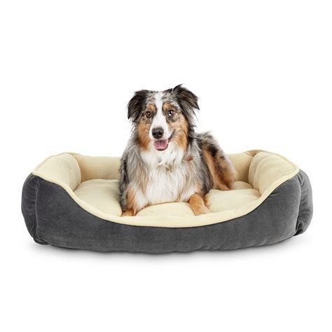 Everyyay Essentials Snooze Fest Rectangle Nester Dog Bed 32 L X 24 W