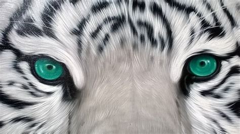 White Tiger Painting Oil Painting On Canvas 40X40 Etsy Tiger Painting