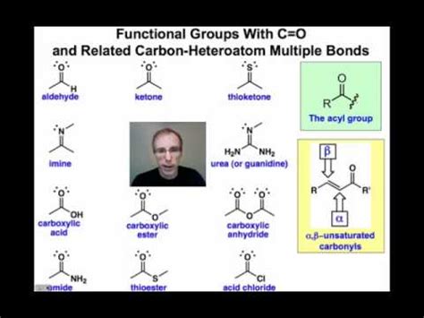 Functional groups are groups of atoms within a molecule that affect its function. Carbonyl Functional Groups - An Introduction - YouTube