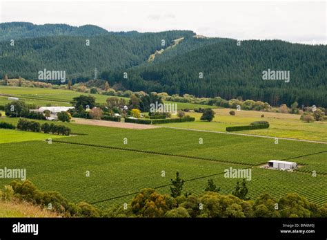 Napier Portcape Kidnappersviews From Eskdaleesk Valley Winerynorth