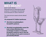 What You Need to Know About Wet Brain | What is Wet Brain